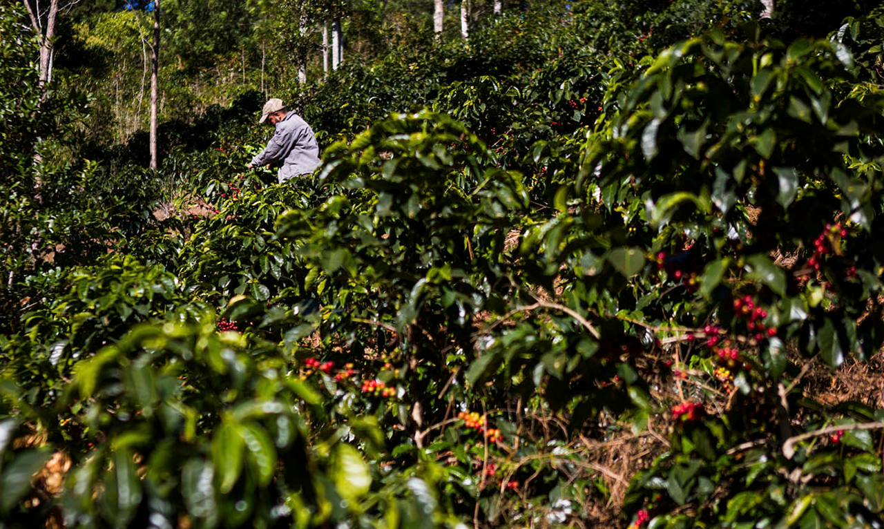 Apoiando produtores e suas comunidades